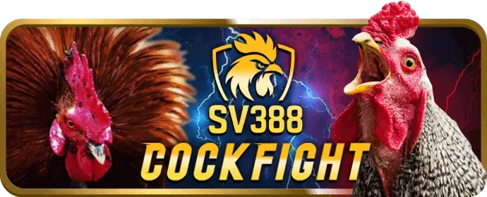 Bước 4: Xác Nhận và Hoàn Tất Đăng Ký